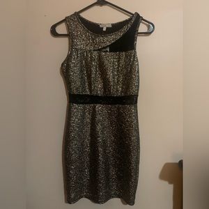 Charlotte Russ Dress
